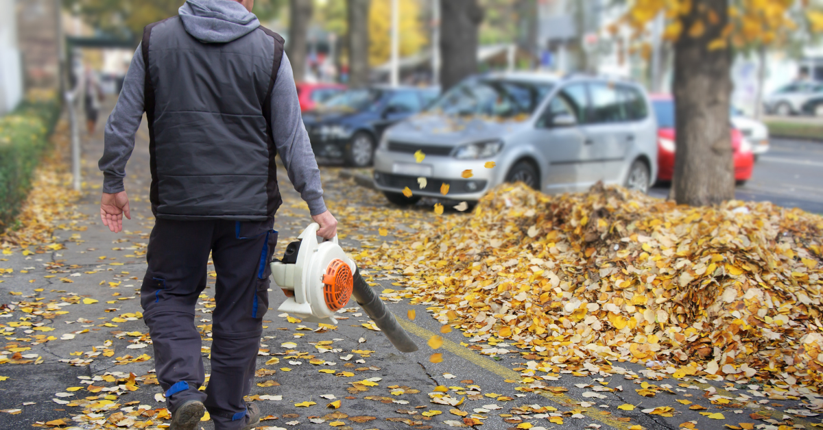 Best Cordless Leaf Blowers