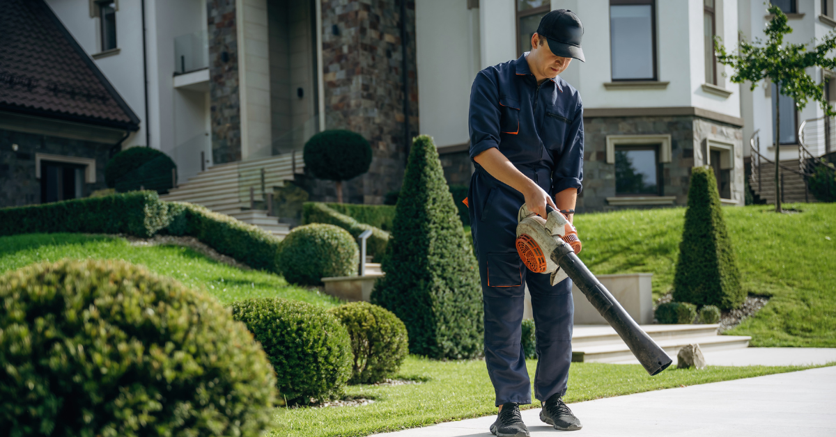 What to Look for in a Leaf Blower