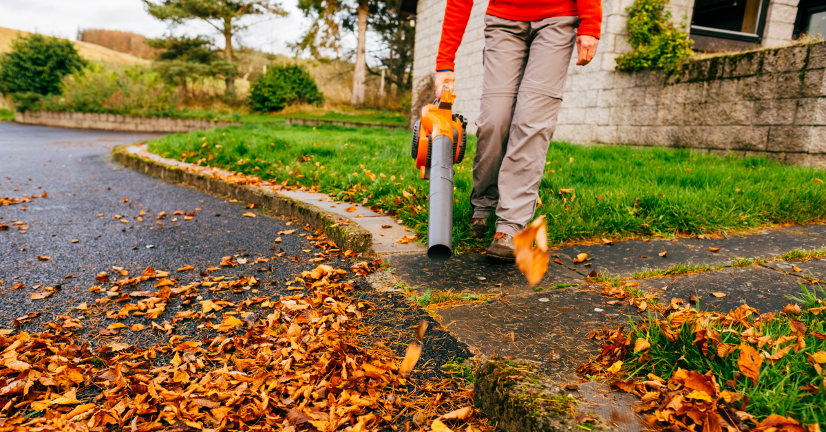 Can a Leaf Blower Jump Timing